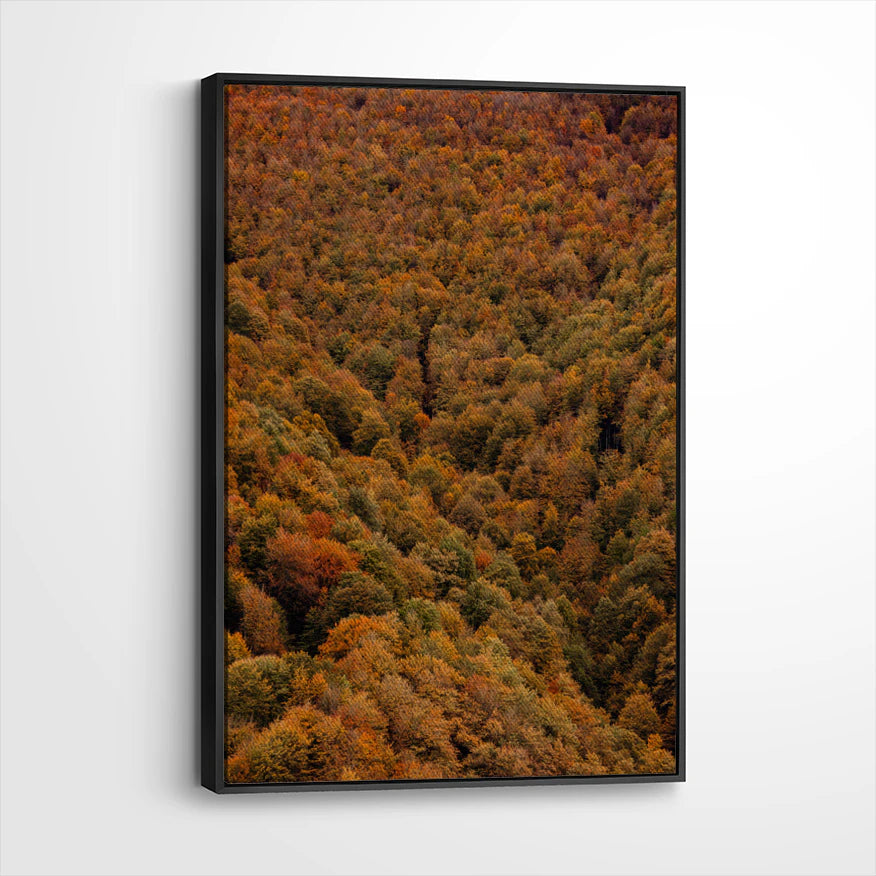 framed-canvas-black