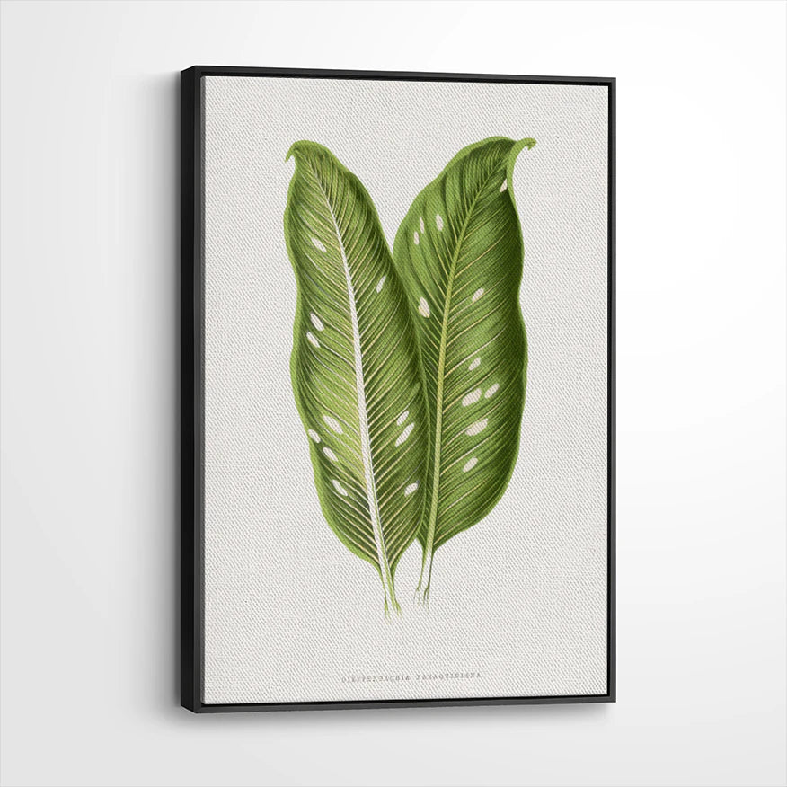 framed-canvas-black
