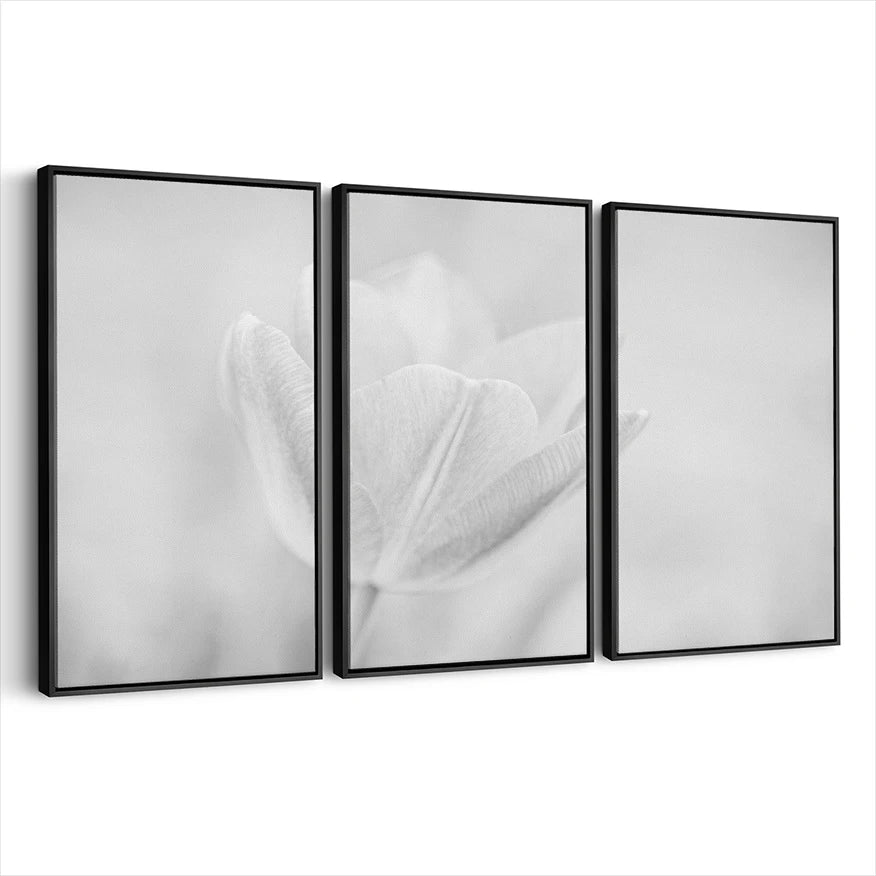3-framed-canvas-black