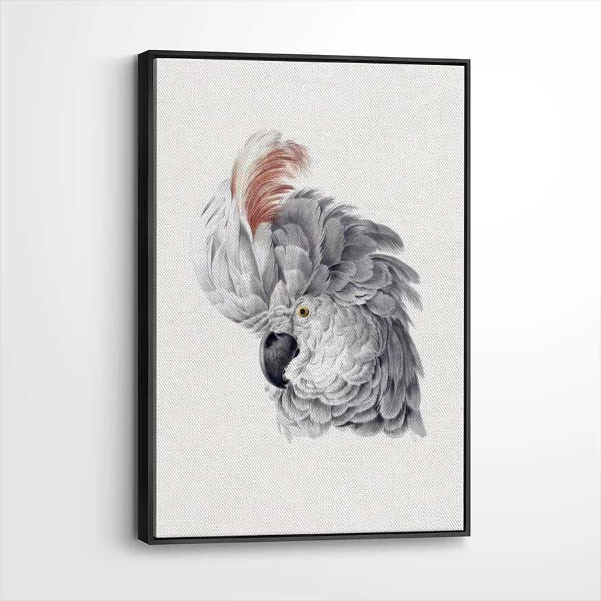 framed-canvas-black