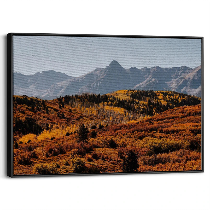 framed-canvas-black