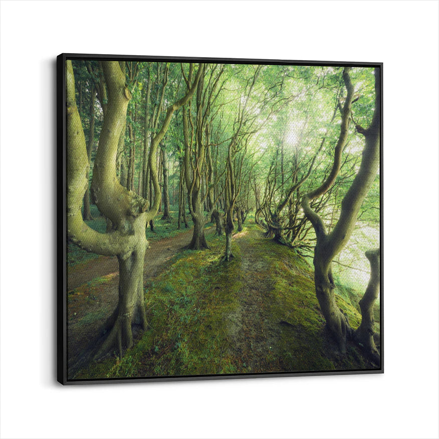 framed-canvas-black