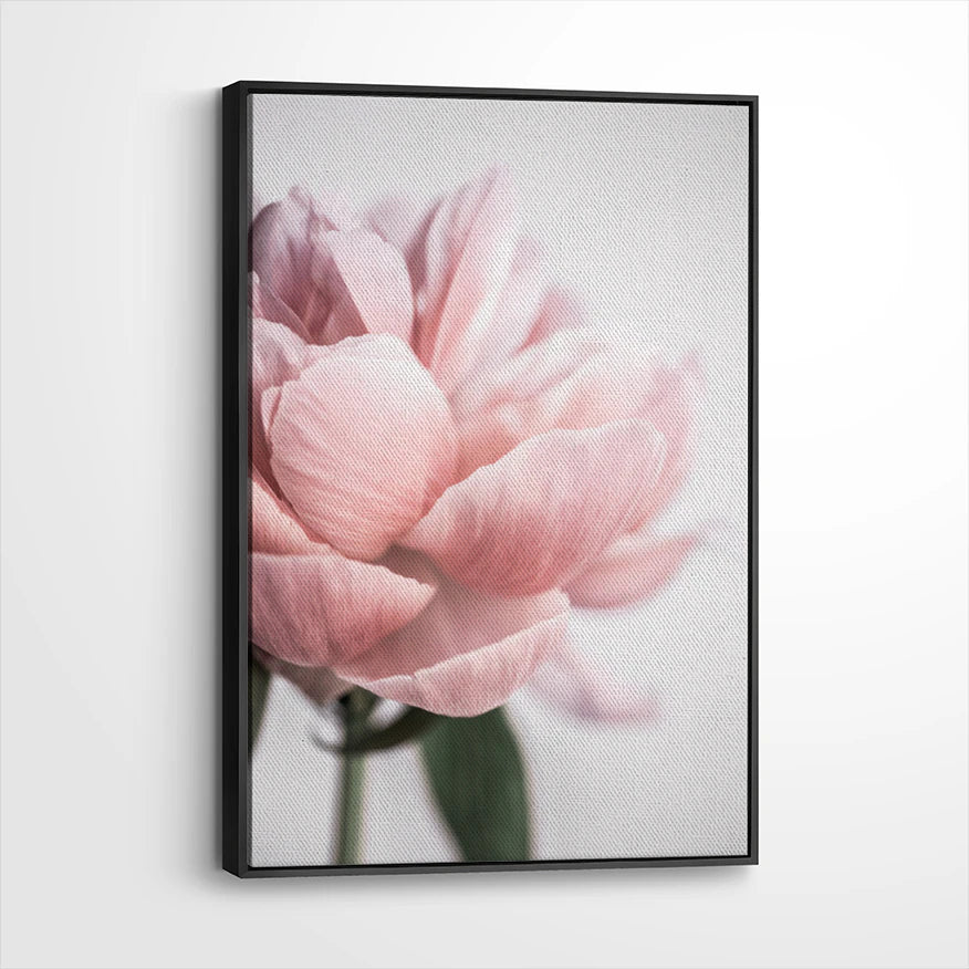framed-canvas-black