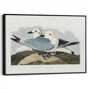 framed-canvas-black