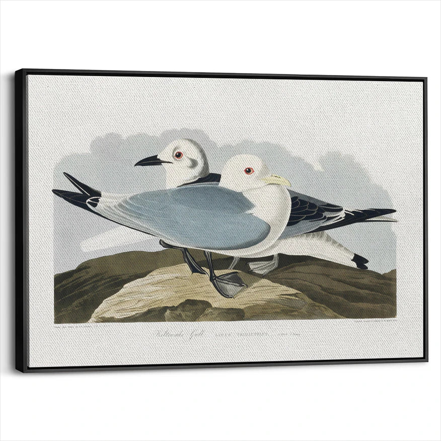 framed-canvas-black