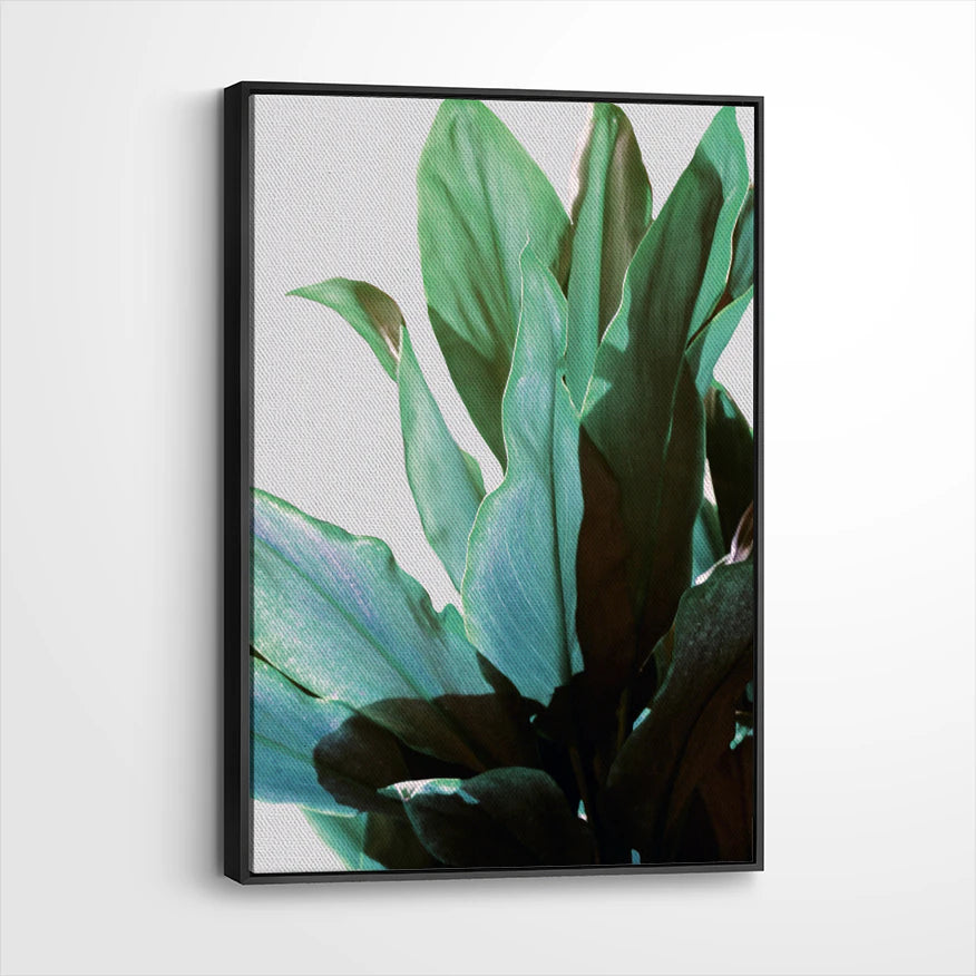 framed-canvas-black