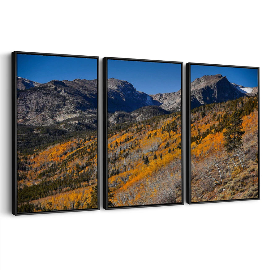 3-framed-print-black