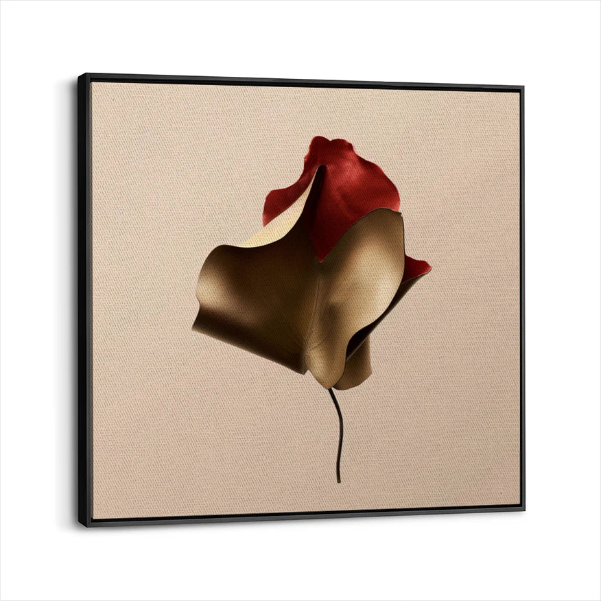 framed-canvas-black