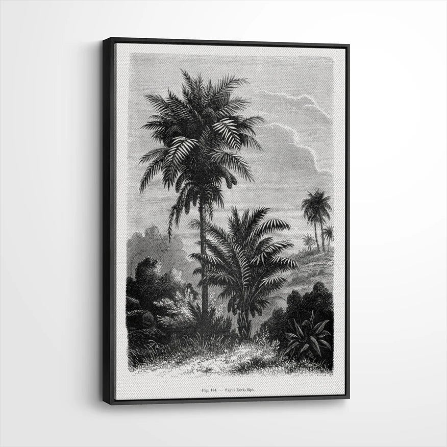 framed-canvas-black