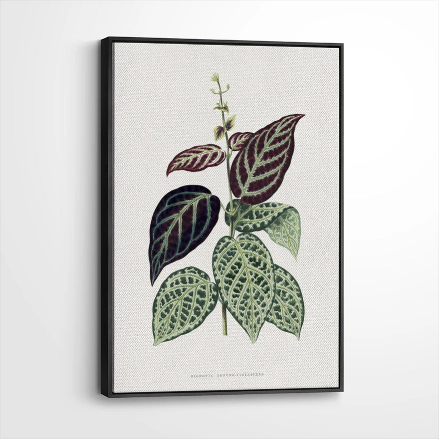 framed-canvas-black
