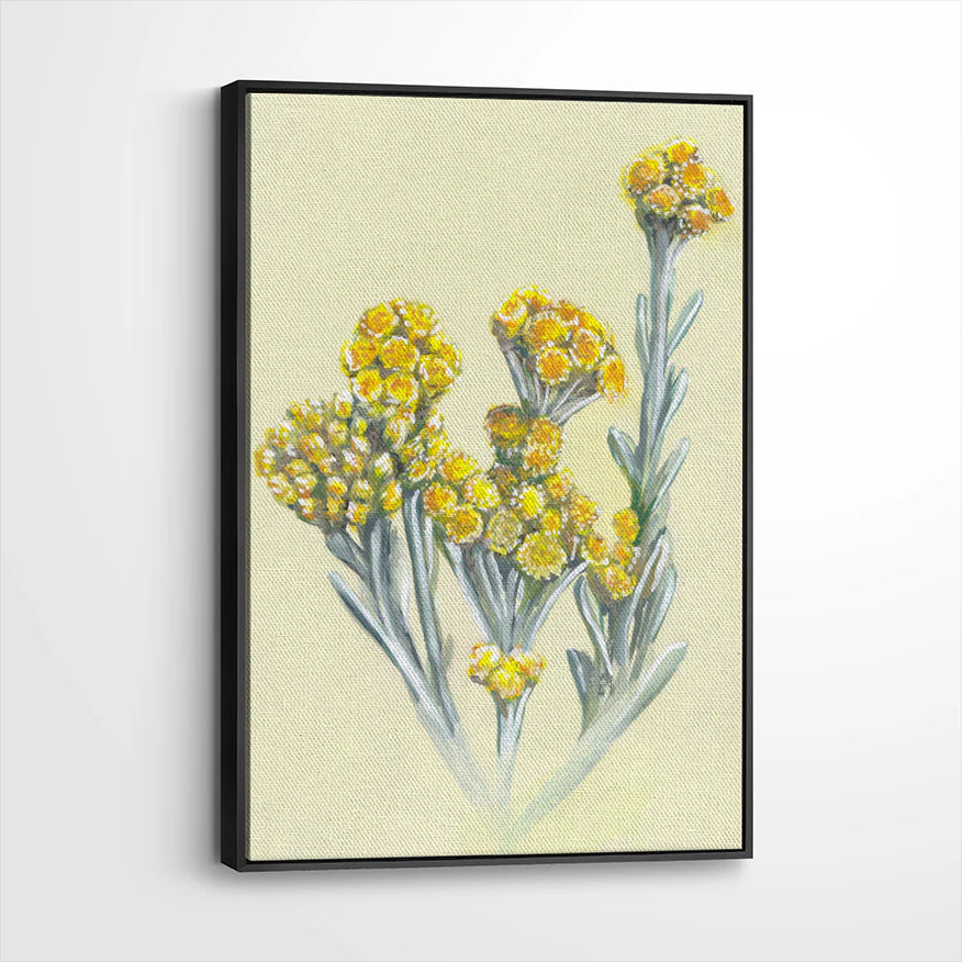 framed-canvas-black