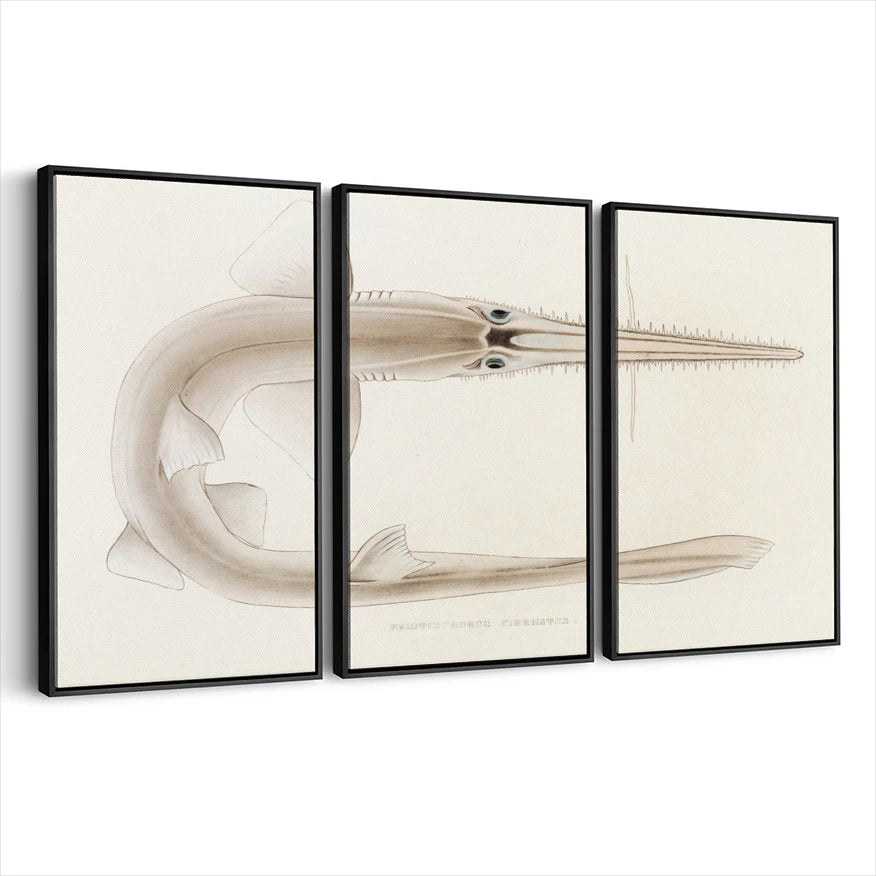 3-framed-canvas-black