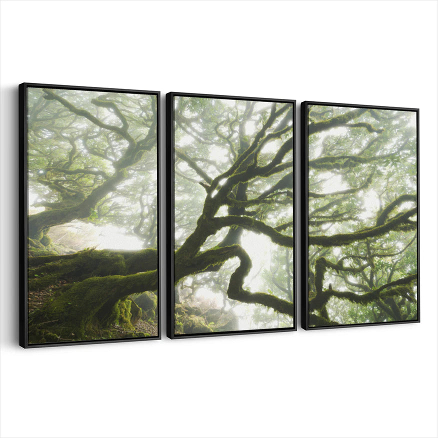 3-framed-canvas-black