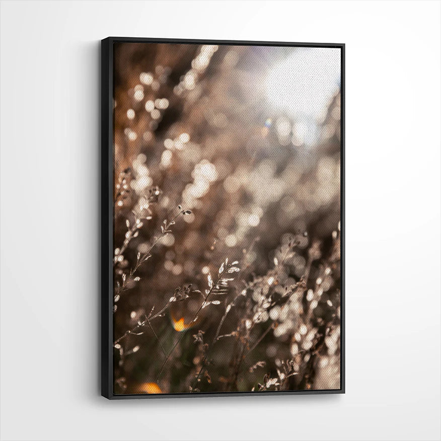 framed-canvas-black