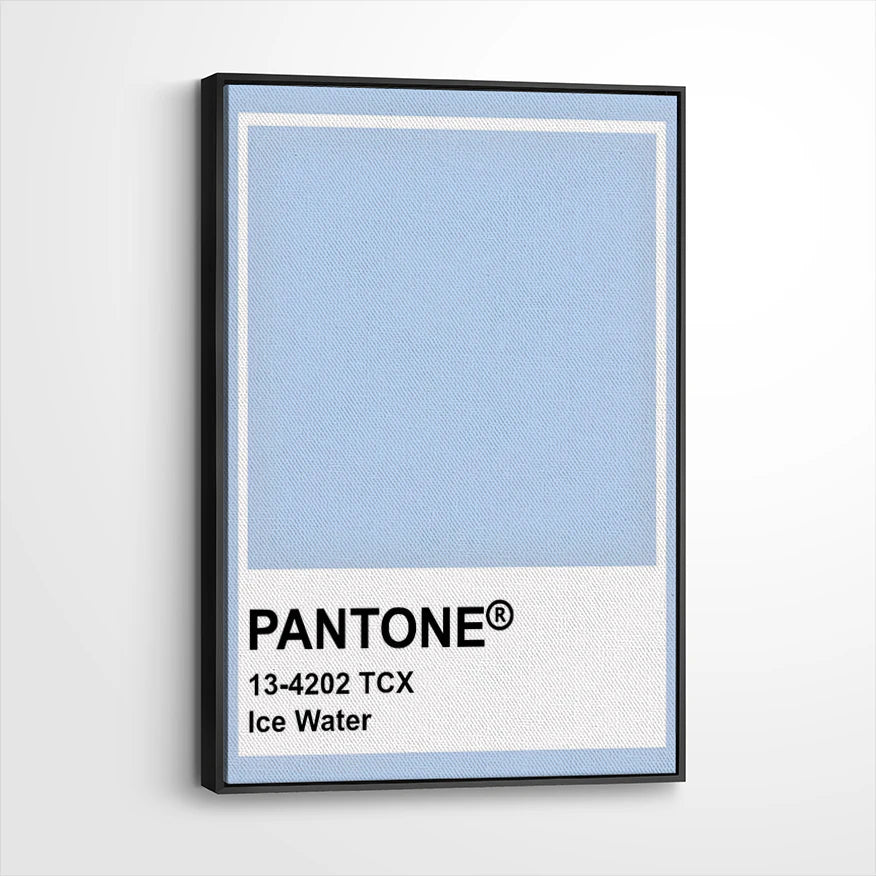 framed-canvas-black