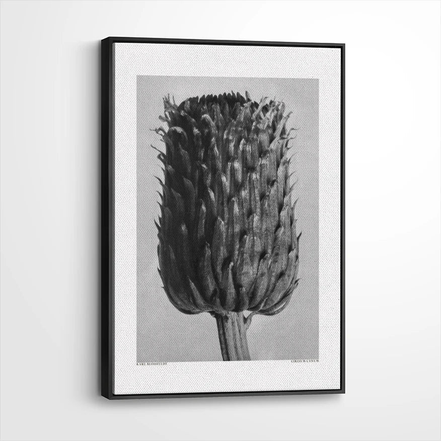 framed-canvas-black