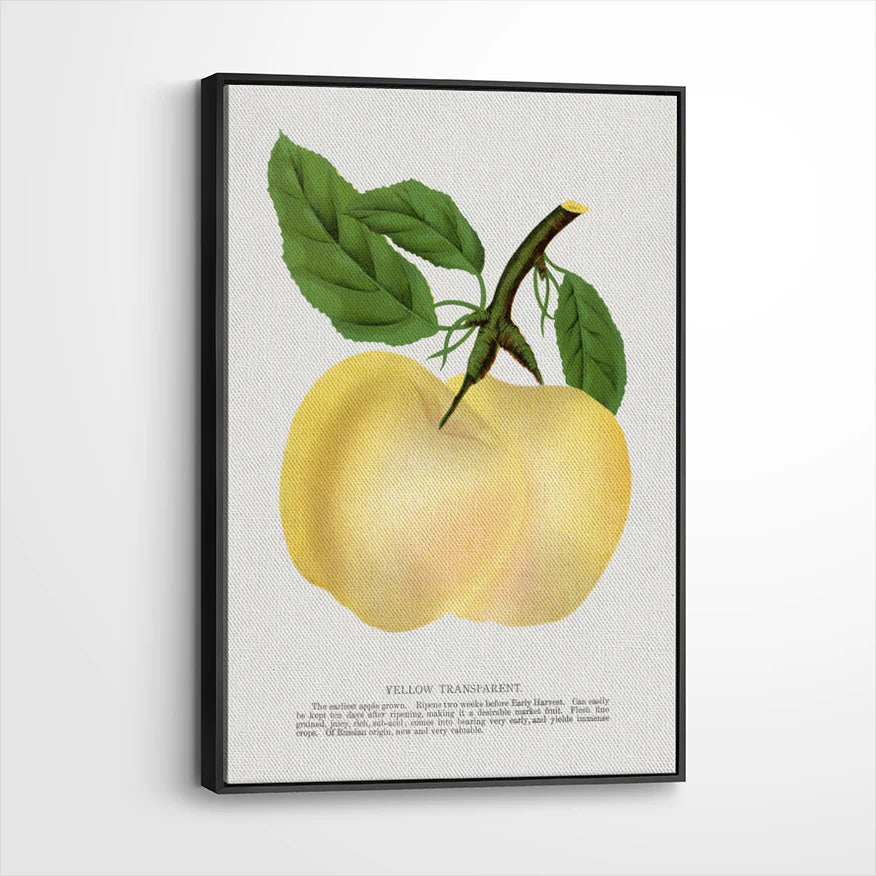 framed-canvas-black