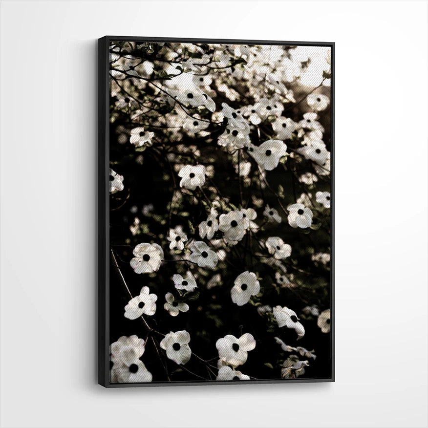framed-canvas-black