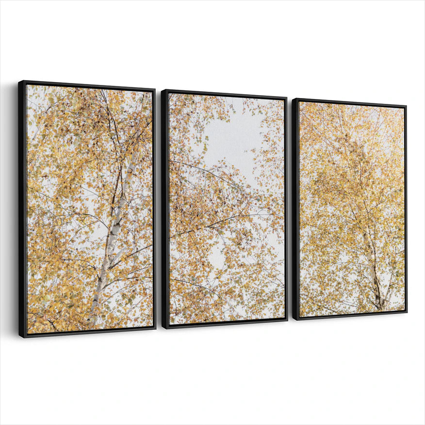 3-framed-print-black