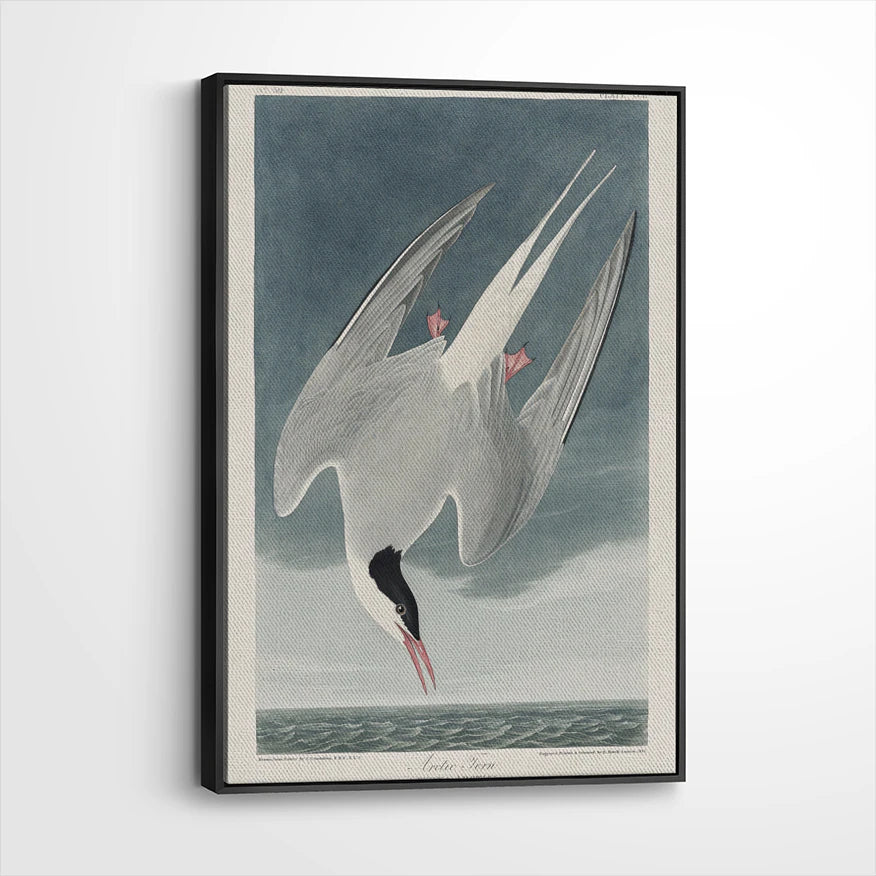 framed-canvas-black