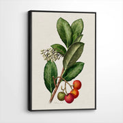 framed-canvas-black