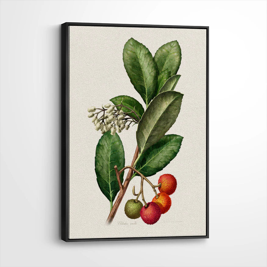 framed-canvas-black