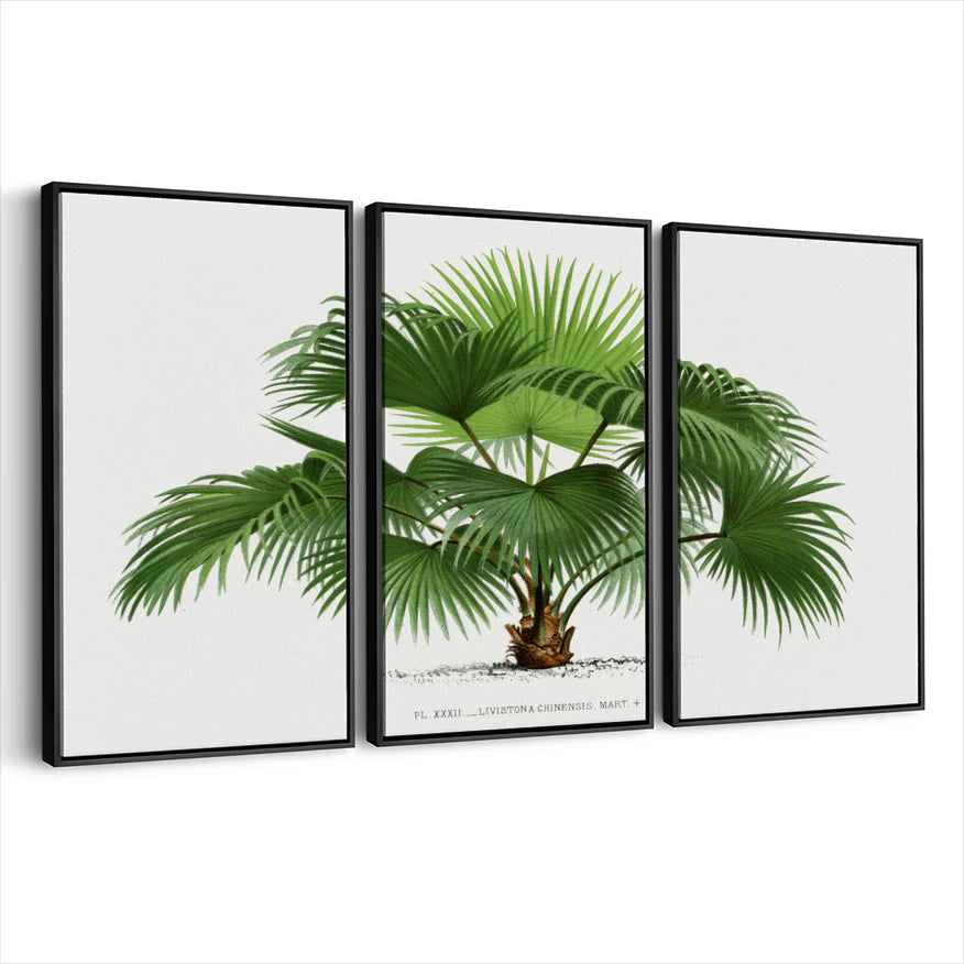 3-framed-print-black
