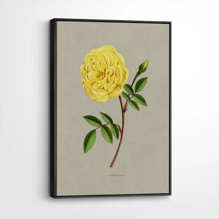 framed-canvas-black