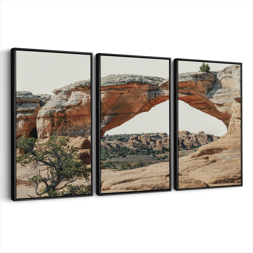 3-framed-canvas-black