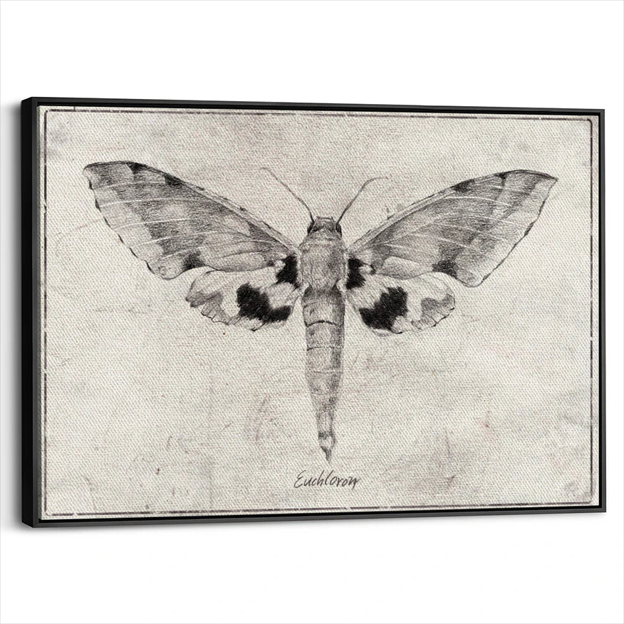 framed-canvas-black