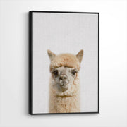 framed-canvas-black