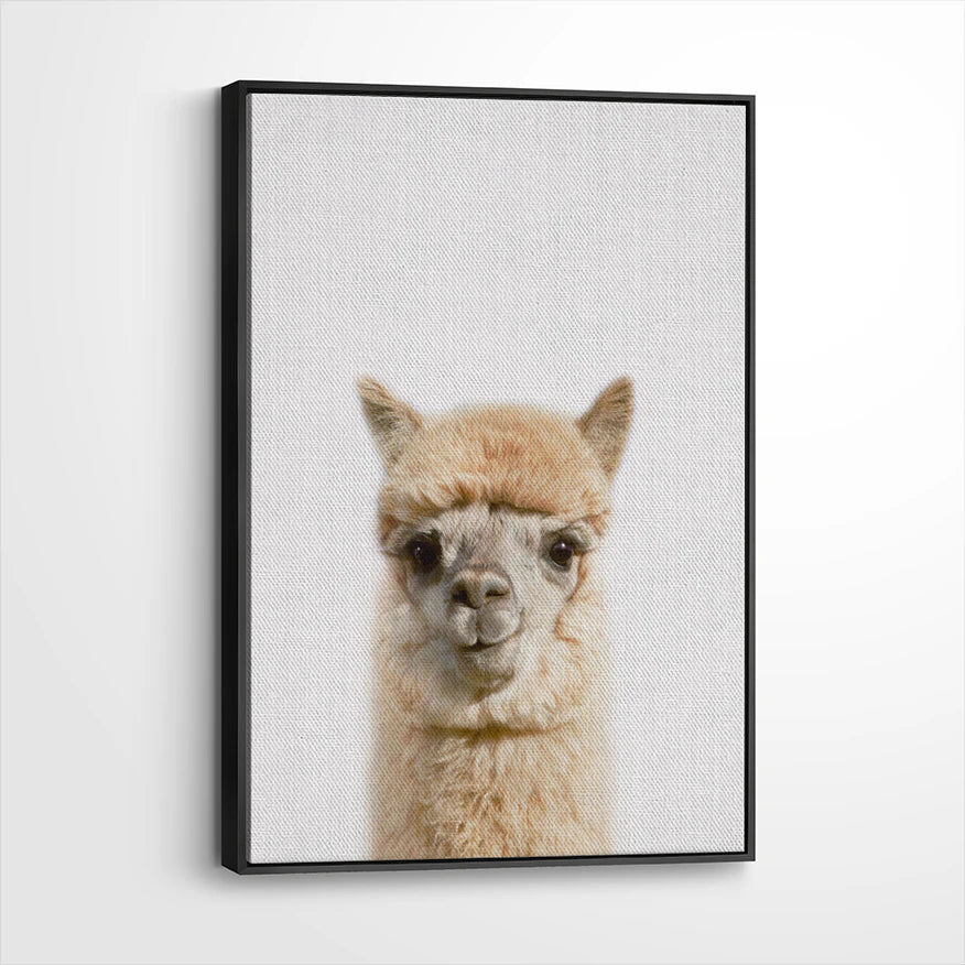 framed-canvas-black