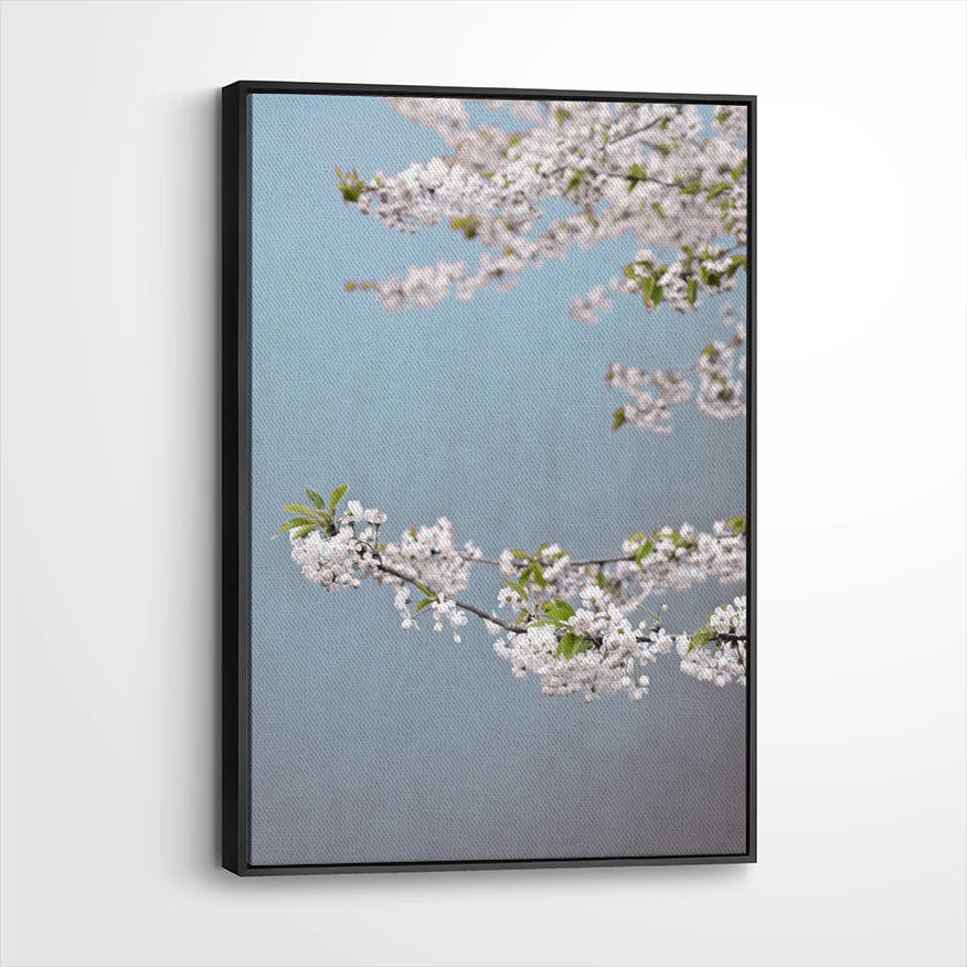 framed-canvas-black