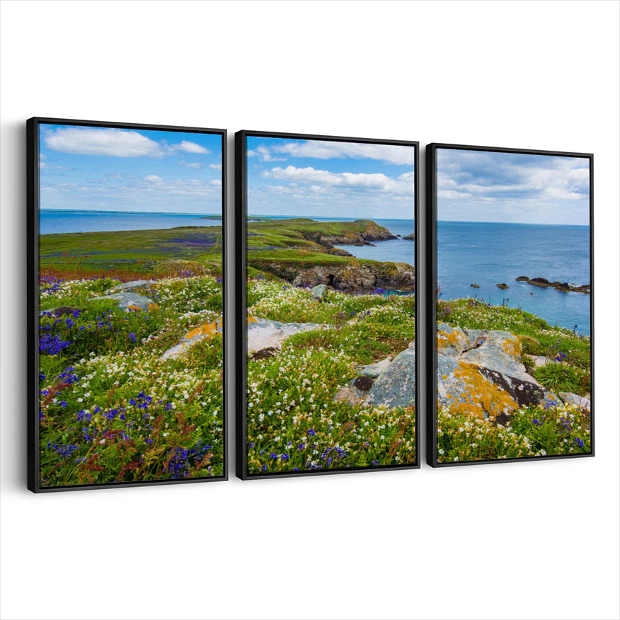 3-framed-canvas-black