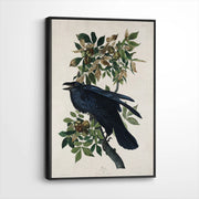 framed-canvas-black