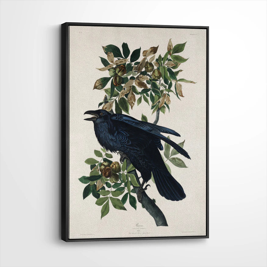 framed-canvas-black