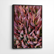 framed-canvas-black