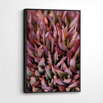 framed-canvas-black