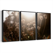 3-framed-canvas-black