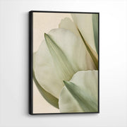 framed-canvas-black