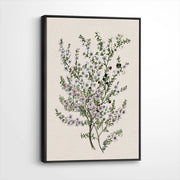 framed-canvas-black