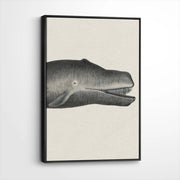 framed-canvas-black