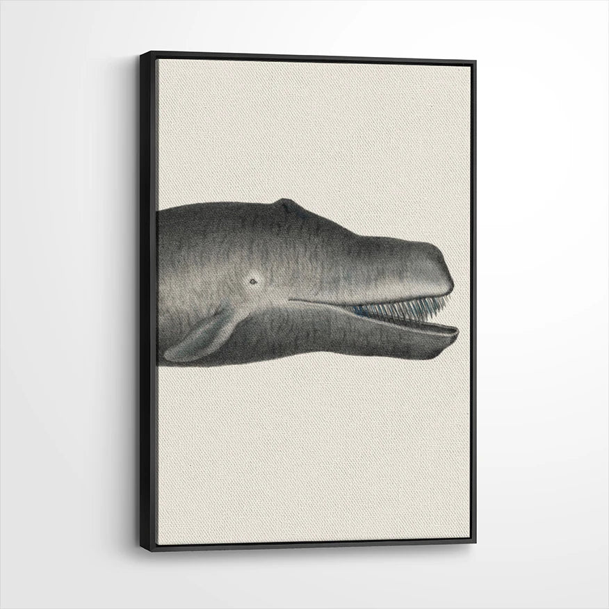framed-canvas-black