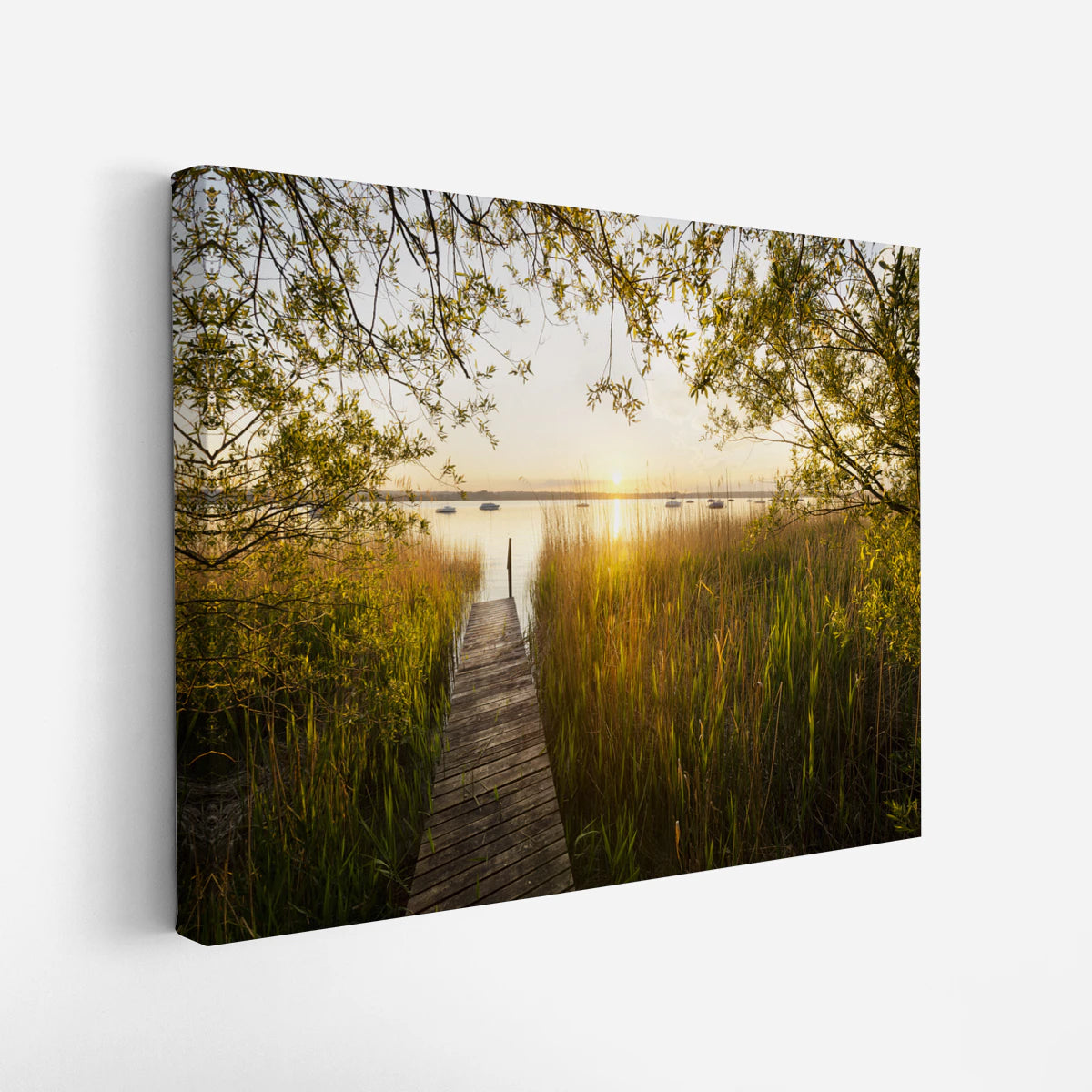 canvas-art