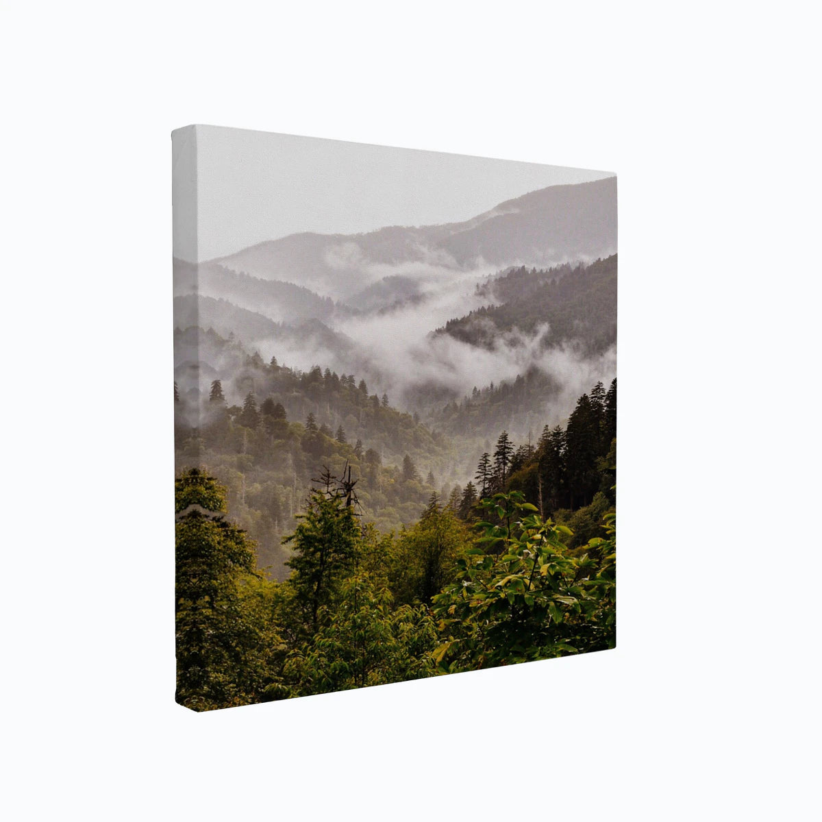 canvas-art