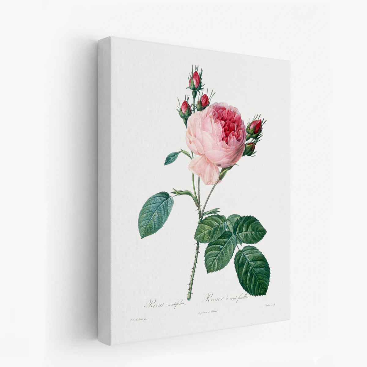 canvas-art