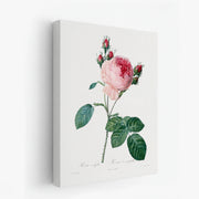 canvas-art