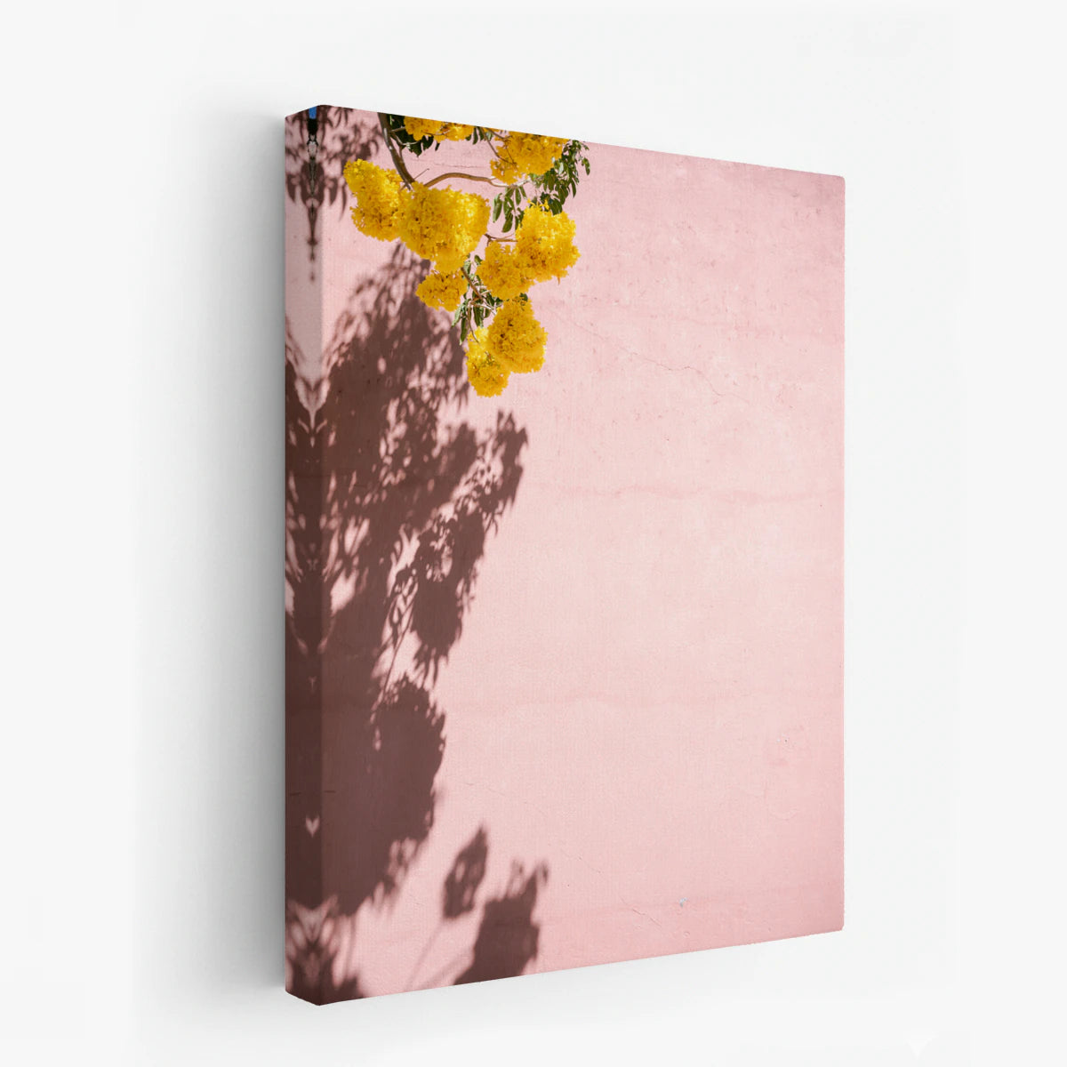 canvas-art