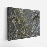 canvas-art