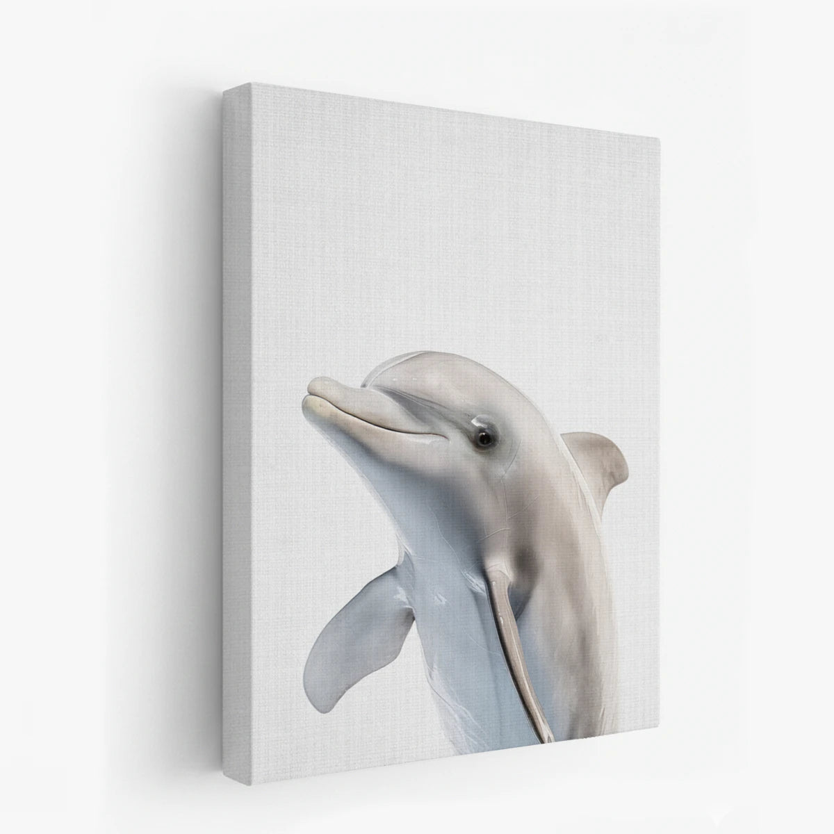 canvas-art